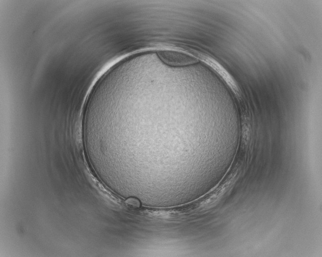 X0000115511004200911201635