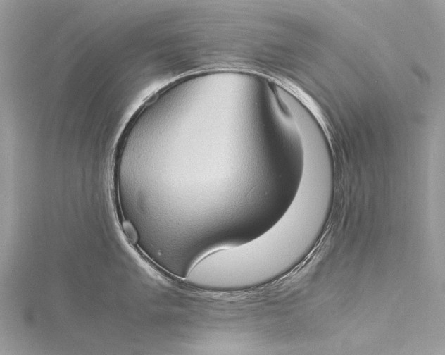 X0000115511005200911201635