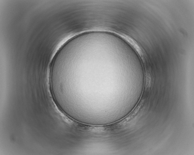 X0000115511006200911201635