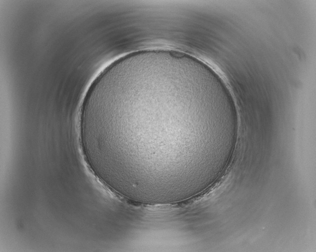 X0000115511008200911201635