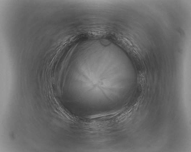 X0000115511009200911201634