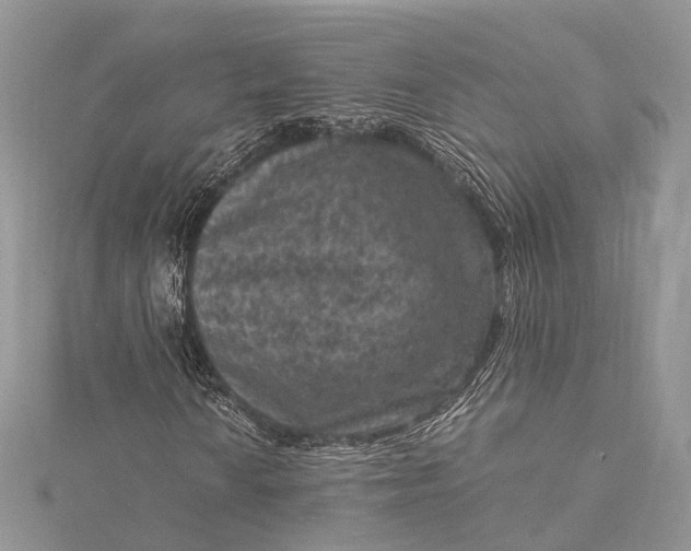 X0000115511010200911201634