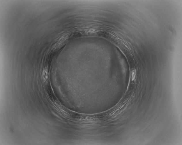 X0000115511011200911201634