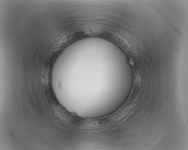 X0000115511012200911201634