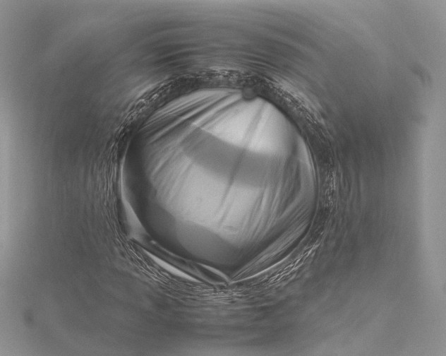 X0000115511013200911201634