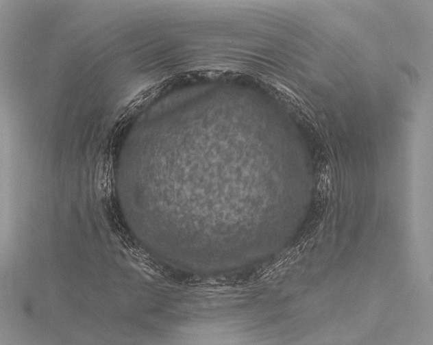 X0000115511014200911201634