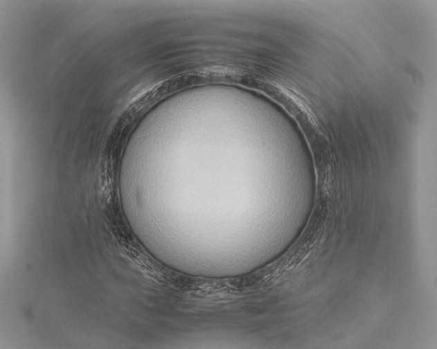 X0000115511015200911201634