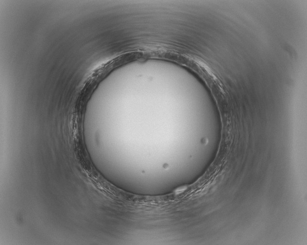 X0000115511016200911201634