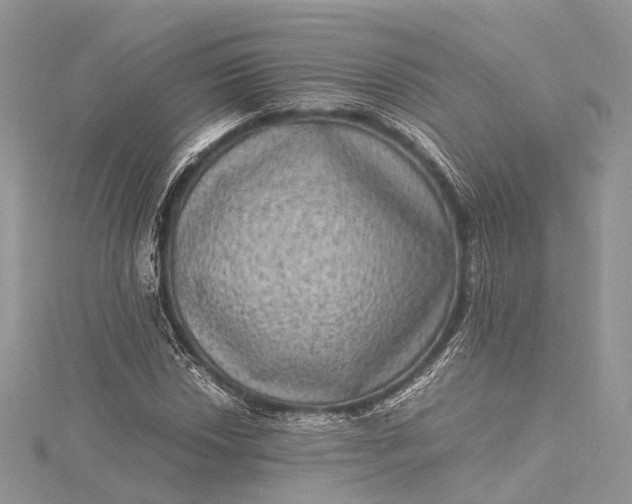 X0000115511018200911201634