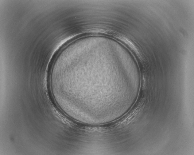 X0000115511020200911201634