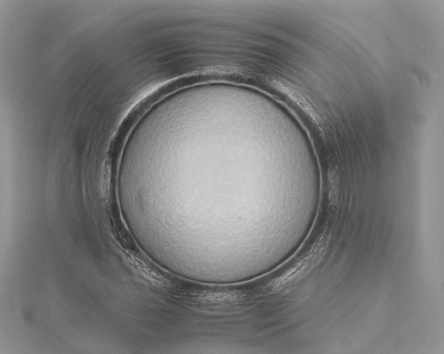 X0000115511021200911201634