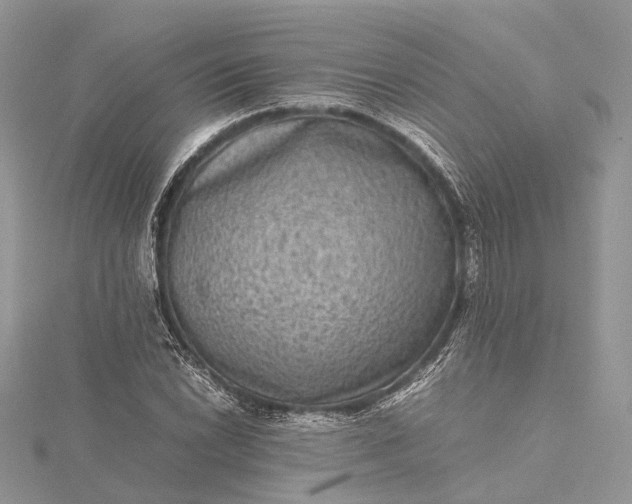 X0000115511022200911201634