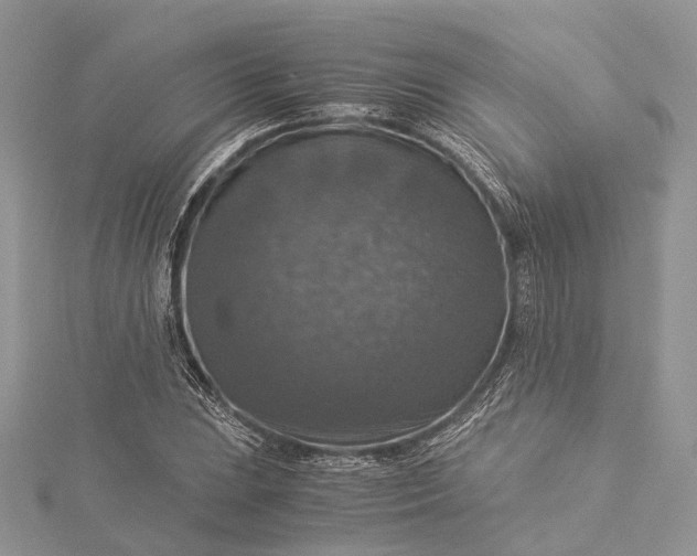 X0000115511023200911201634