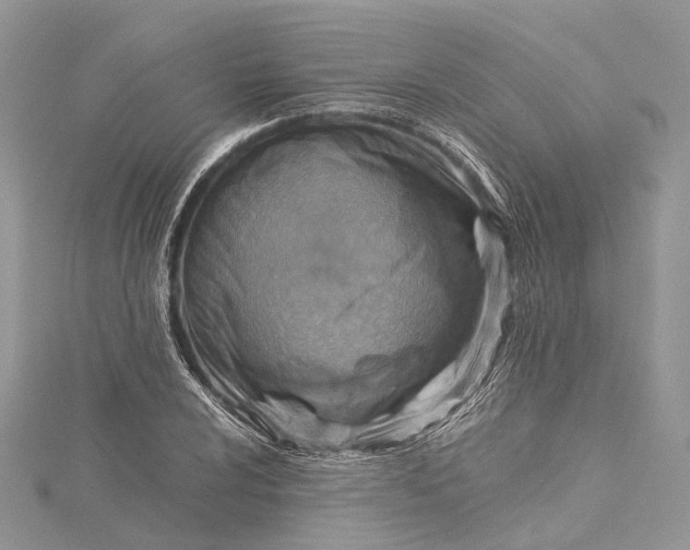 X0000115511024200911201634