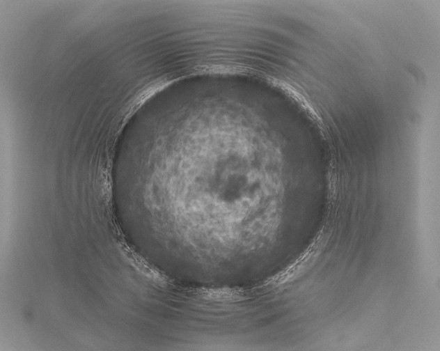 X0000115511025200911201634