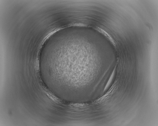 X0000115511027200911201634