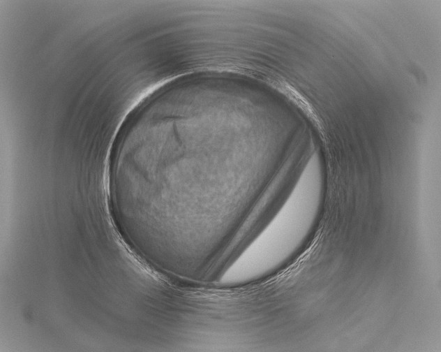 X0000115511028200911201634