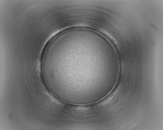 X0000115511029200911201634