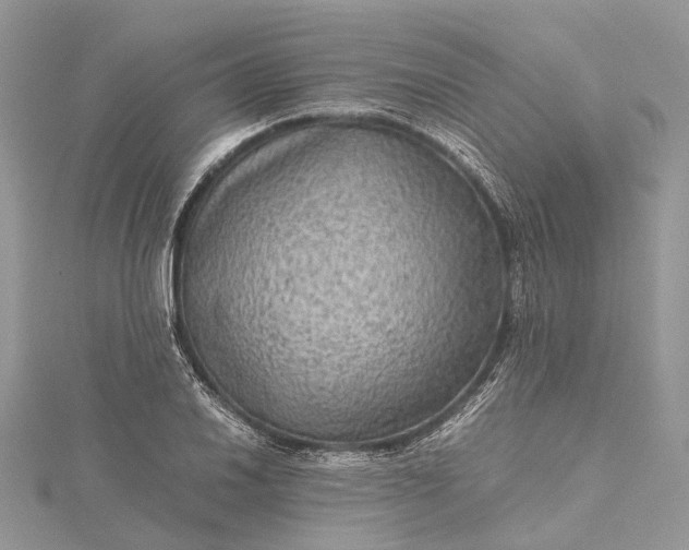 X0000115511030200911201634