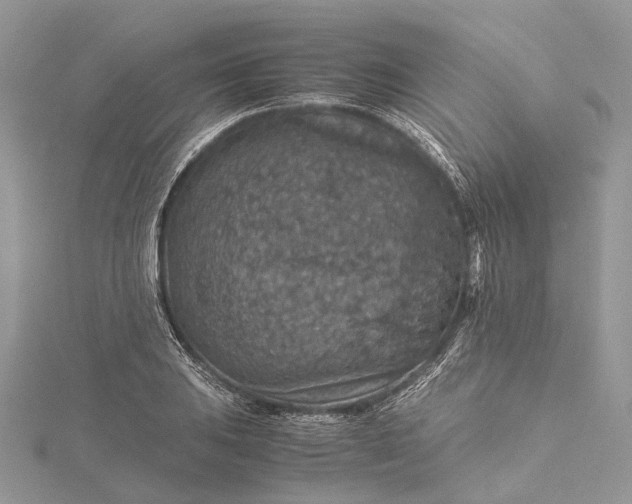 X0000115511031200911201635