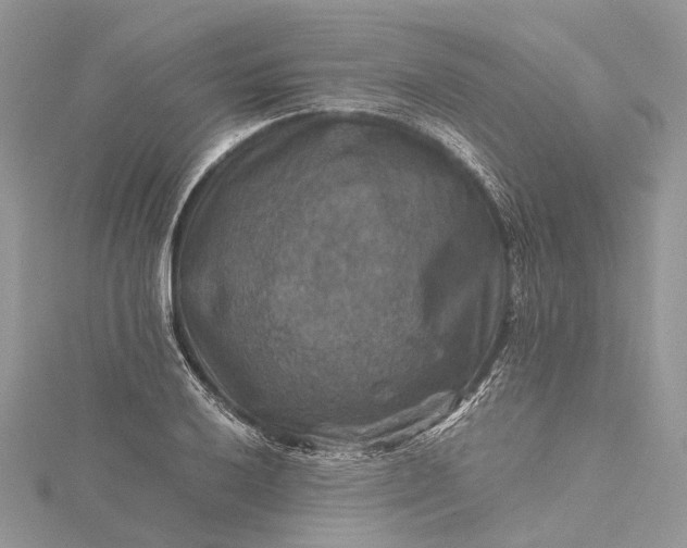 X0000115511032200911201635