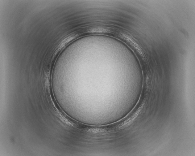 X0000115511033200911201635