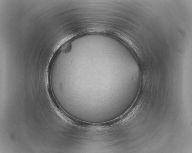 X0000115511034200911201635