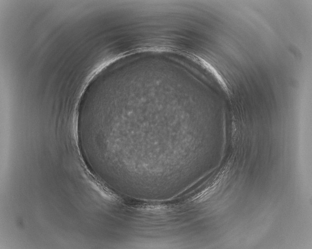 X0000115511035200911201635