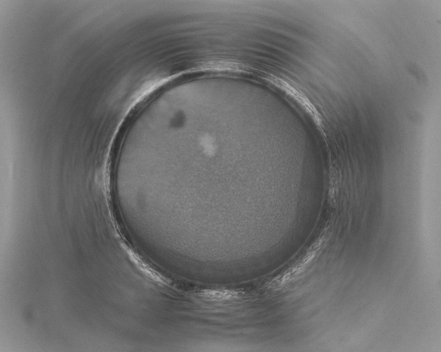 X0000115511037200911201635