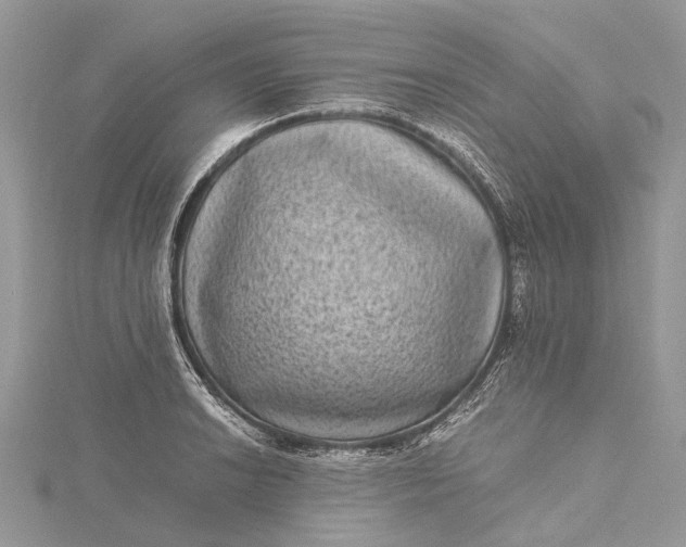 X0000115511038200911201635