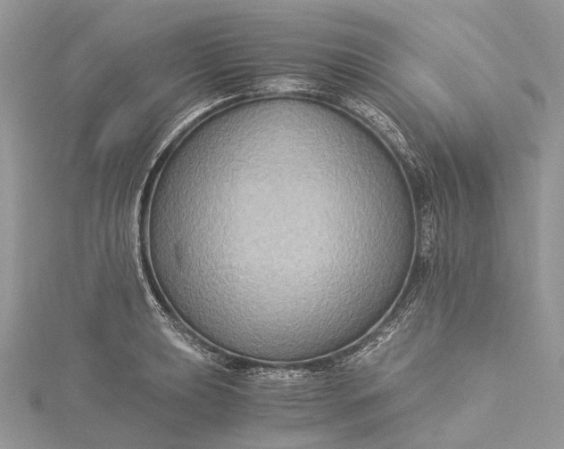 X0000115511039200911201635