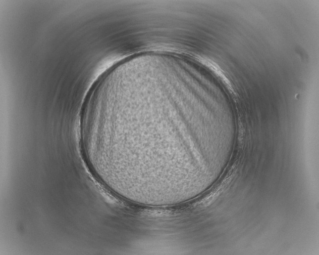 X0000115511040200911201635