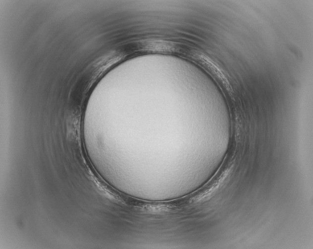 X0000115511041200911201635