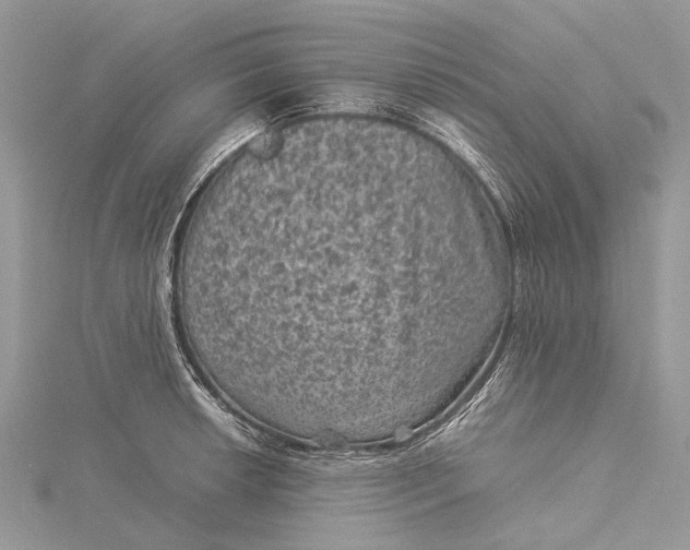 X0000115511042200911201635