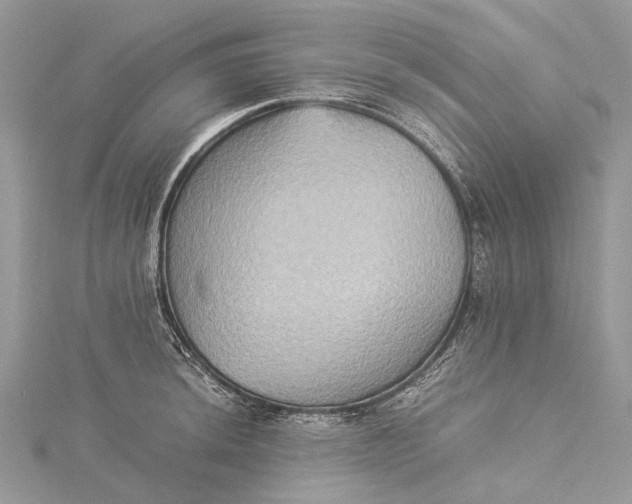 X0000115511044200911201635