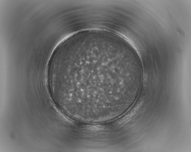 X0000115511045200911201635