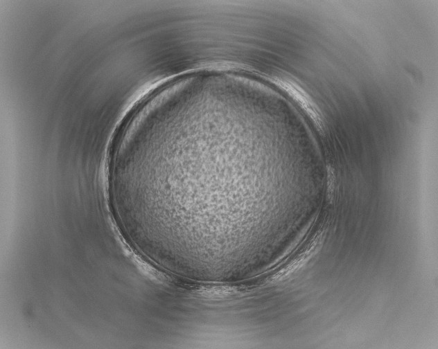 X0000115511046200911201635