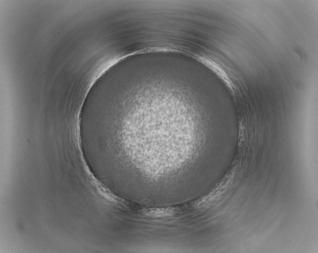 X0000115511047200911201635