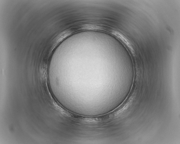 X0000115511049200911201635