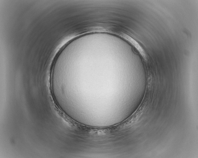 X0000115511051200911201635