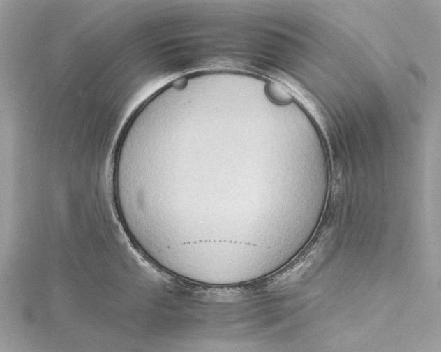 X0000115511053200911201635