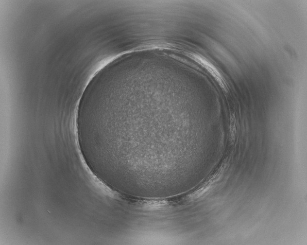 X0000115511055200911201635