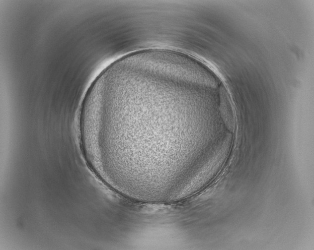 X0000115511056200911201635