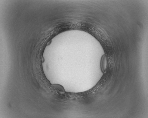 X0000115511057200911201634