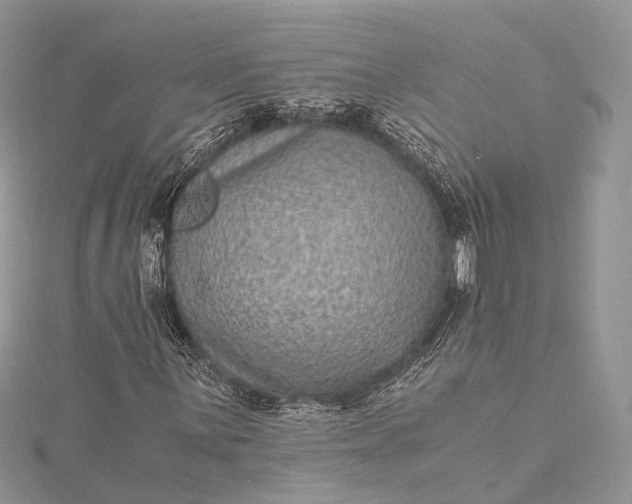 X0000115511059200911201634