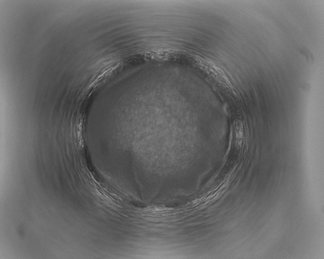 X0000115511060200911201634