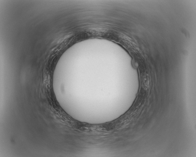 X0000115511061200911201634