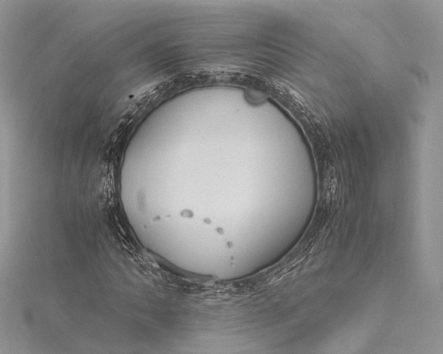 X0000115511062200911201634