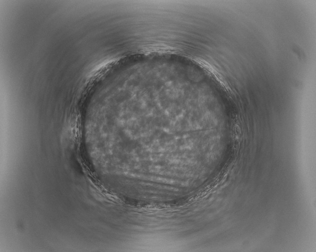 X0000115511063200911201634