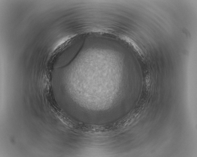 X0000115511064200911201634